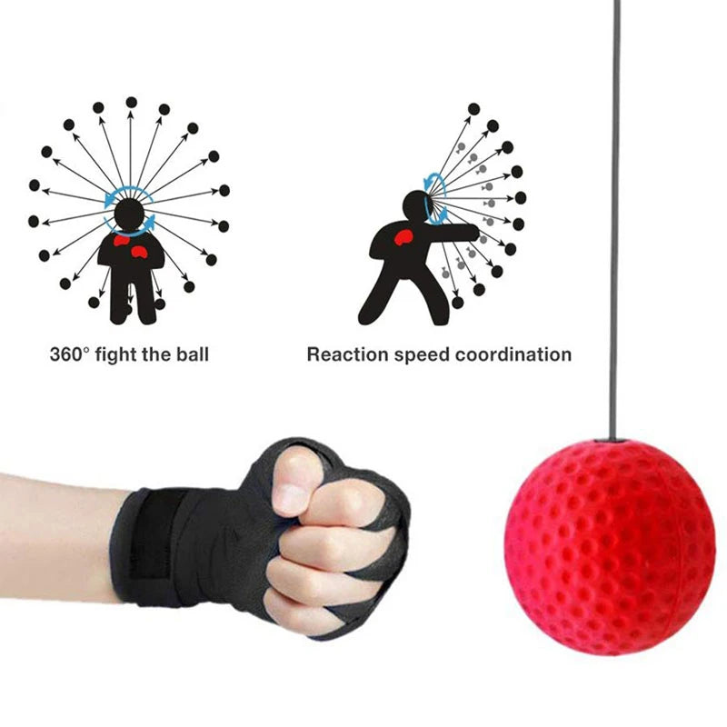 HitZone Reflex Trainer: Improve Coordination, Speed & Focus with Adjustable Reaction Ball